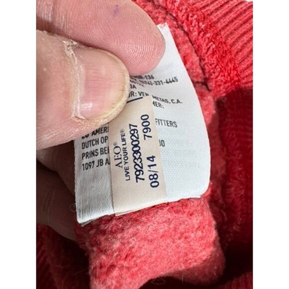 "AMERICAN EAGLE" Women's LG 2014 American Eagle Hooded Sweatshirt Preppy Grunge - Picture 7 of 10